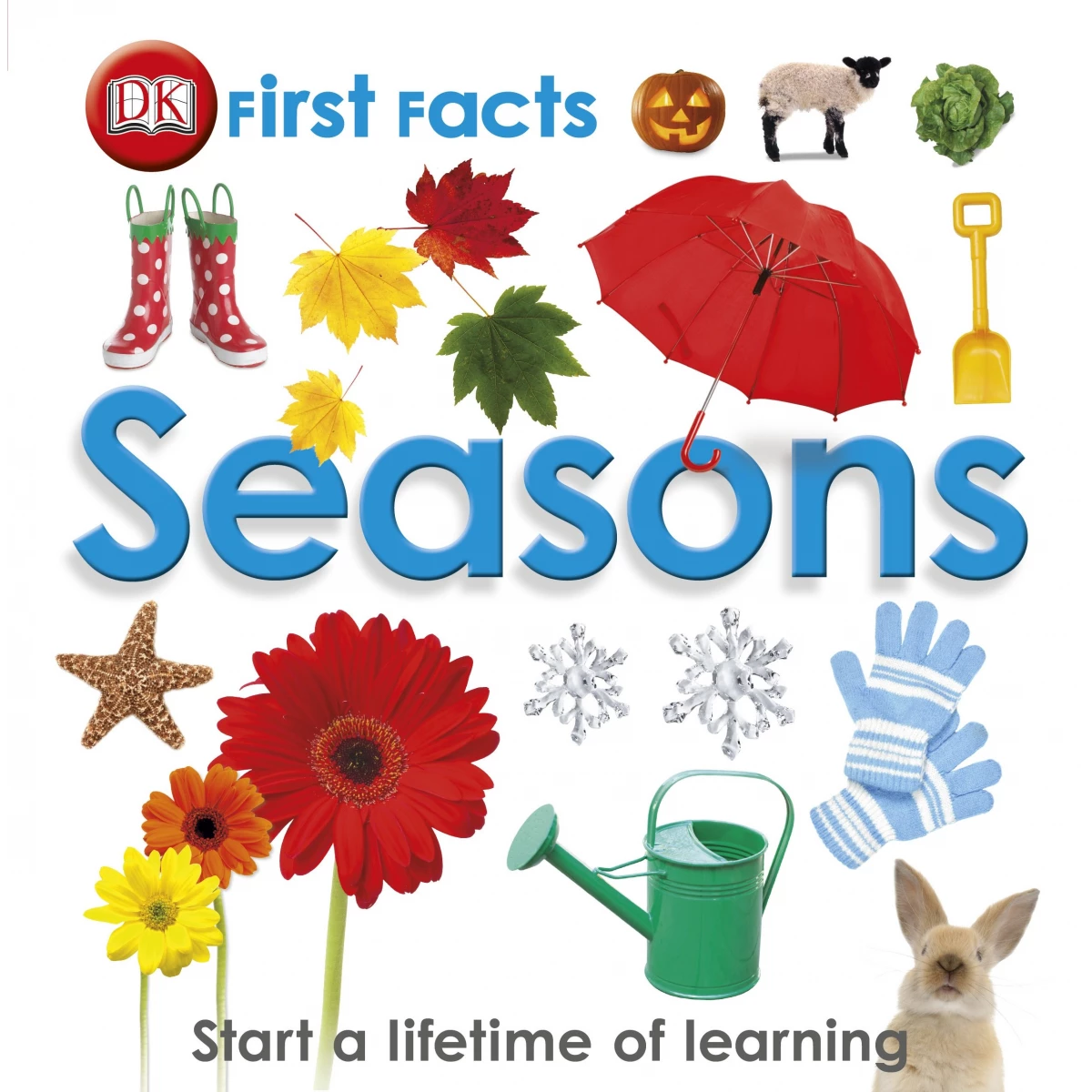 First Facts Seasons – Buy Online in Jordan | Dumyah