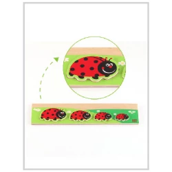 Edu Fun Discover Who’s bigger? (Ladybird)