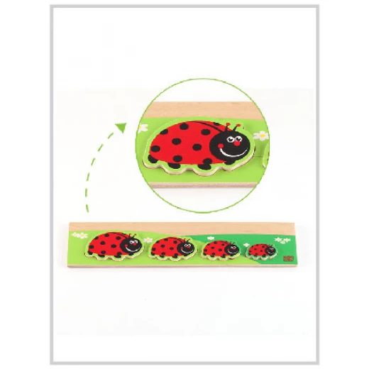 Edu Fun Discover Who’s bigger? (Ladybird) Edu Fun Discover Who’s bigger? (Ladybird)