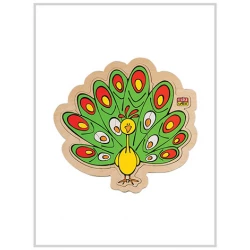 Edu Fun Find what’s underneath (Peacock)