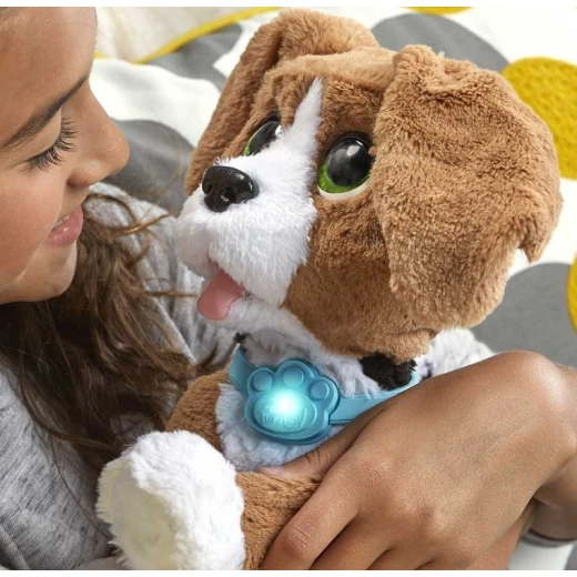 Fur Real Chatty Charlie the Barkin' Beagle Soft Toy - فور ريل فريندز - Image 2