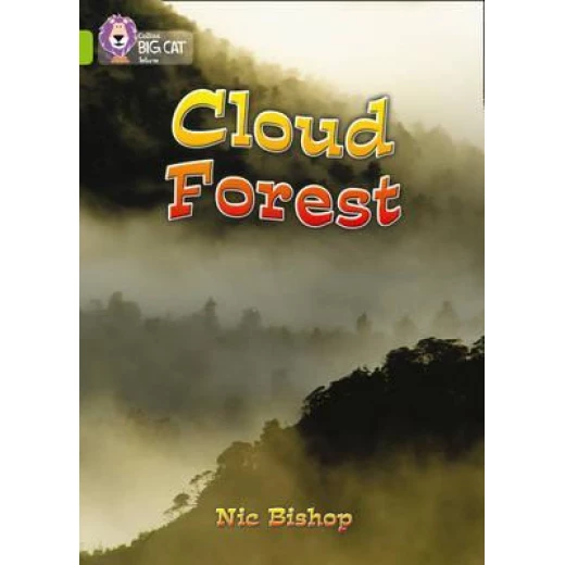 Big cat: The Cloud Forest Big cat: The Cloud Forest