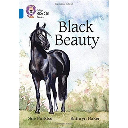 Black Beauty Black Beauty
