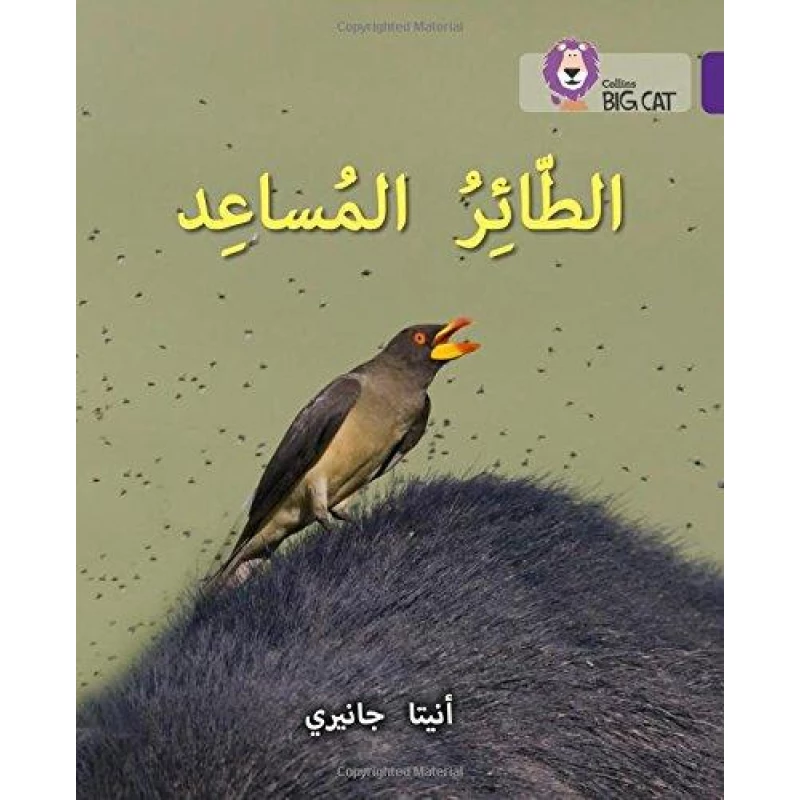 Collins Big Cat : The Helper Bird-Arabic - كولينز بيج كات