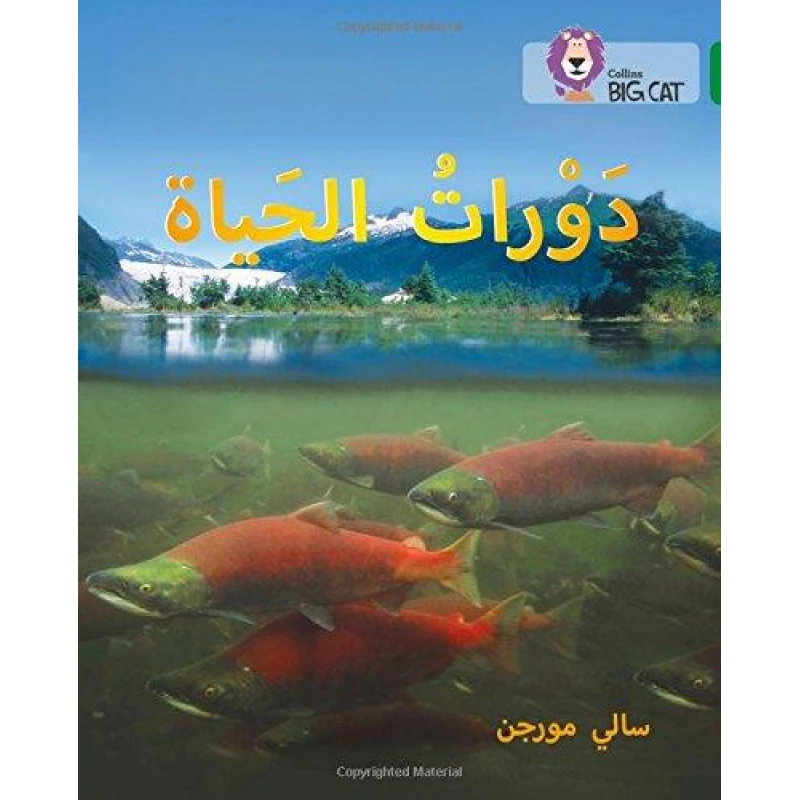 Collins Big Cat : Semsem And Meshmesh-Arabic - كولينز بيج كات