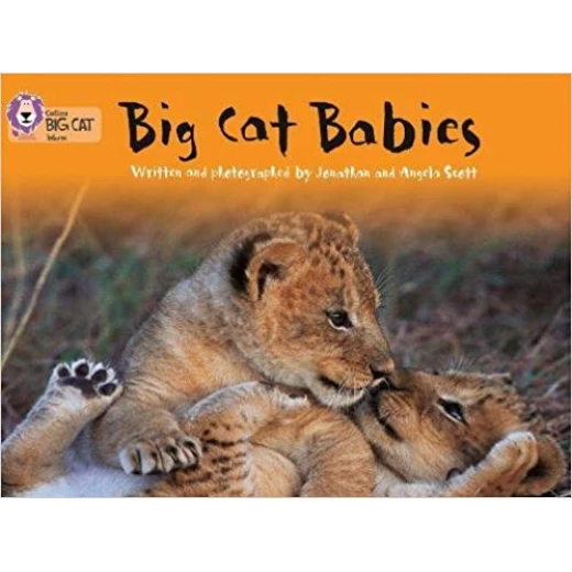 Collins: Big Cat Babies Collins: Big Cat Babies