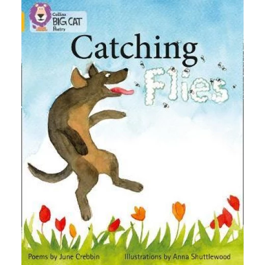 Collins: Big Cat Readers: Catching Flies Collins: Big Cat Readers: Catching Flies