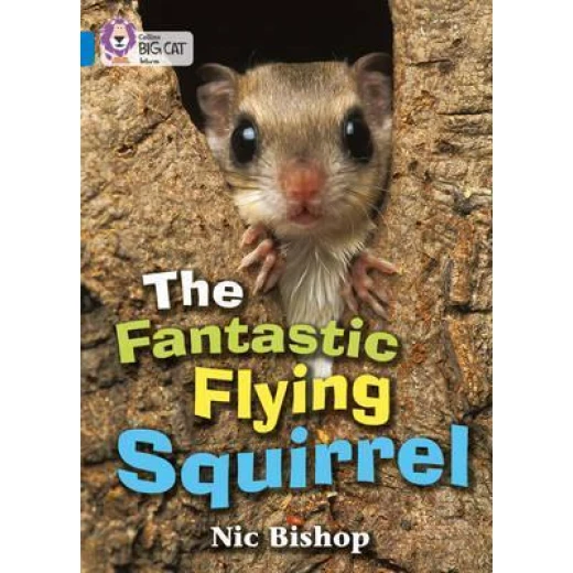 Collins: big cat: the fantastic flying squirrel Collins: big cat: the fantastic flying squirrel