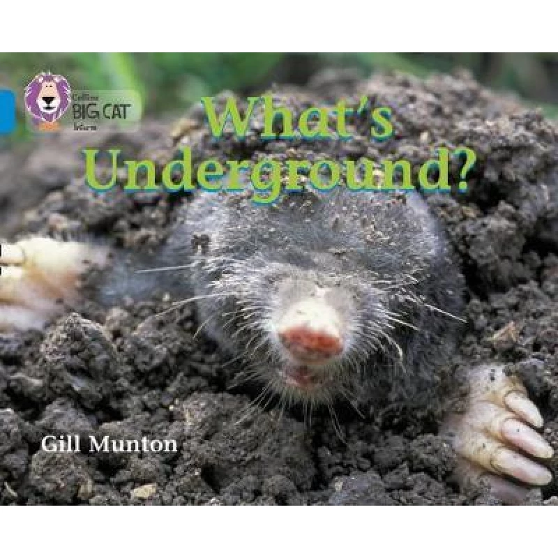 Collins: big cat: whats underground - كولينز بيج كات