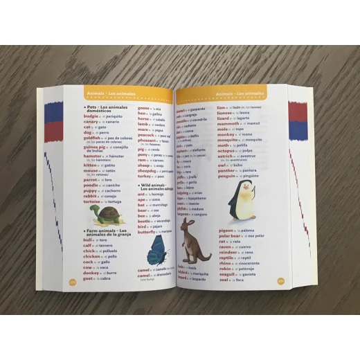 Collins: Primary Illustrated Spanish Dictionary - كولينز بيج كات - Image 2