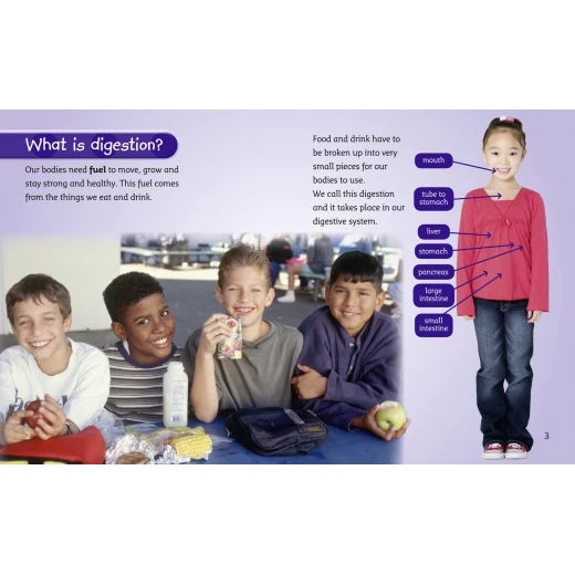Collins : The Digestive System - كولينز بيج كات - Image 2