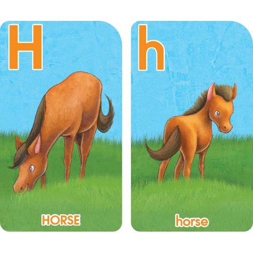 School Zone - Go Fish Alphabet Game Cards - School Zone - Image 3