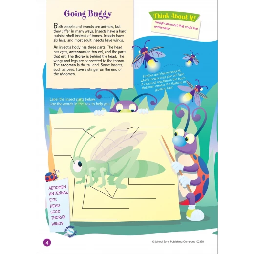 School Zone - Workbooks-Word Searches Ages 8 and Up - سكول زون - Image 2