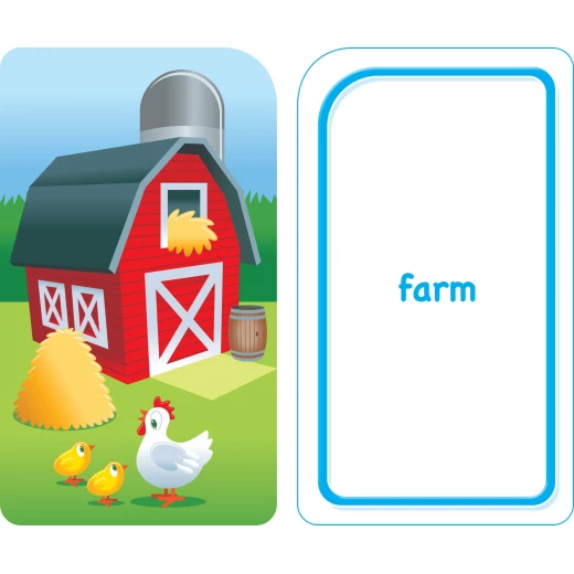 School Zone Colors Shapes & More Flash Cards for Ages 4+ Educational Learning Tools - School Zone - Image 3