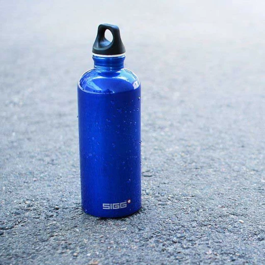 SIGG Water Bottle Traveller Dark Blue 0.6 L - سيغ - Image 2