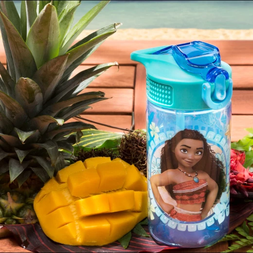 Zak Designs Moana 16 oz PP Park Straw Bottle - زاك ديزاينز - Image 2