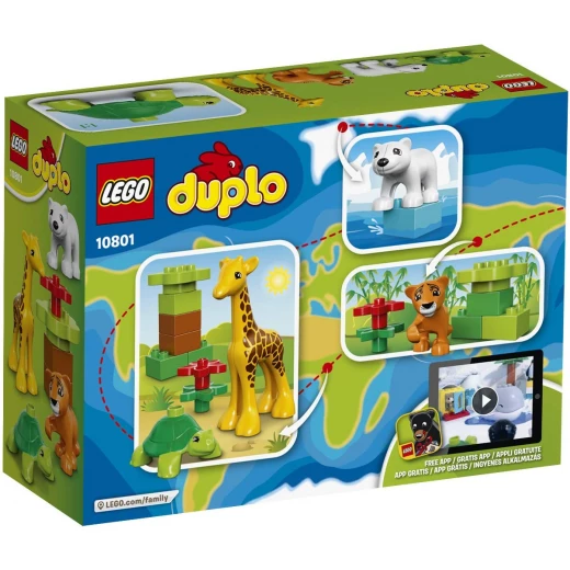 Lego  Baby Animals 13 Pieces - ليجو - Image 6