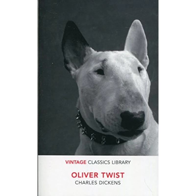 Oliver Twist,Paperback | 480 pages