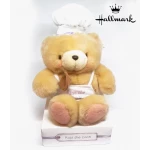 Hallmark Kiss the Cook Teddy Bear - هولمارك