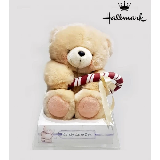 Hallmark Small Candy Cane Teddy Bear - هولمارك - Image 4
