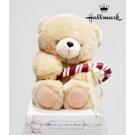 Hallmark Large Candy Cane Teddy Bear - هولمارك