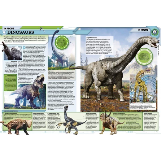 Guinness World Records 2019,256 pages - Image 11