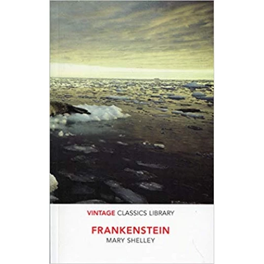 Frankenstein,Paperback | 240 pages Frankenstein,Paperback | 240 pages