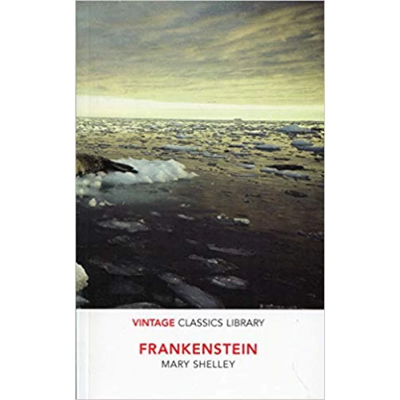 Frankenstein,Paperback | 240 pages
