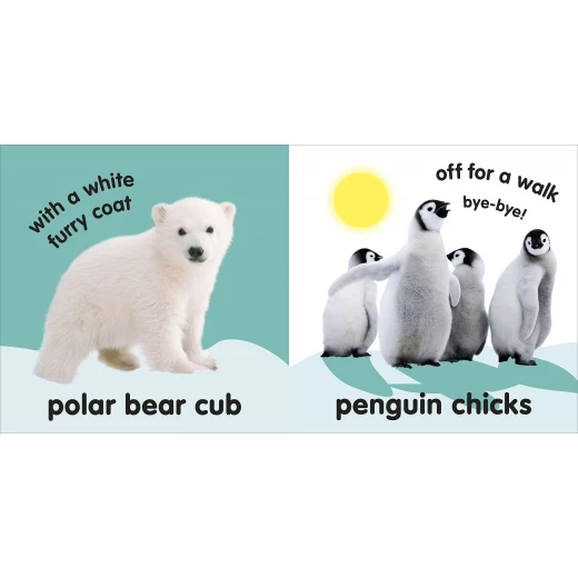 DK Baby Touch and Feel Fluffy Animals Board book - كتب دي كاي - Image 3