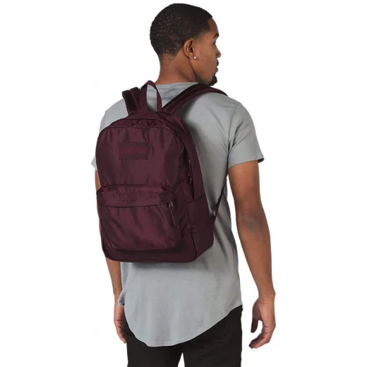 JanSport Mono Superbreak Backpack, Dried Fig - جان سبورت - Image 4