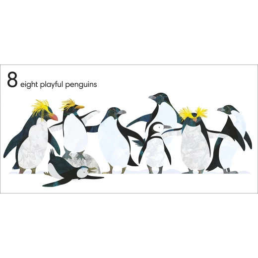 Jonny Lambert's Animal 123 Board book - Image 3