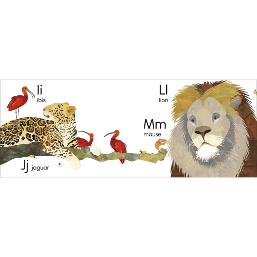 Jonny Lambert's Animal ABC Board book - Image 4