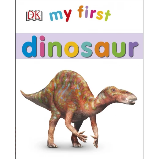 My First Dinosaur Board book My First Dinosaur Board book