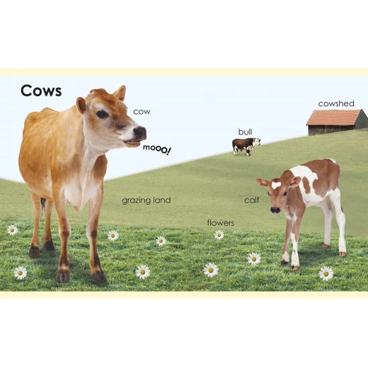My First Farm Board book - كتب دي كاي - Image 3