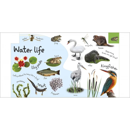 My First Nature Board book - كتب دي كاي - Image 5