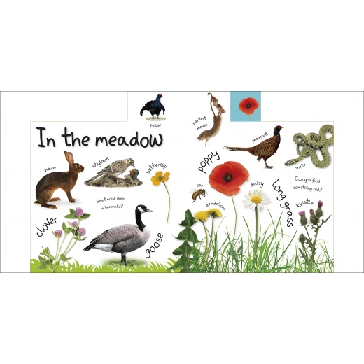 My First Nature Board book - كتب دي كاي - Image 6