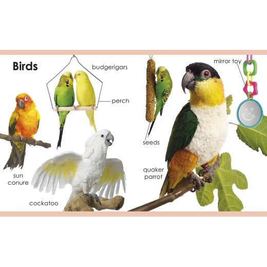 My First Pets Board book - كتب دي كاي - Image 2