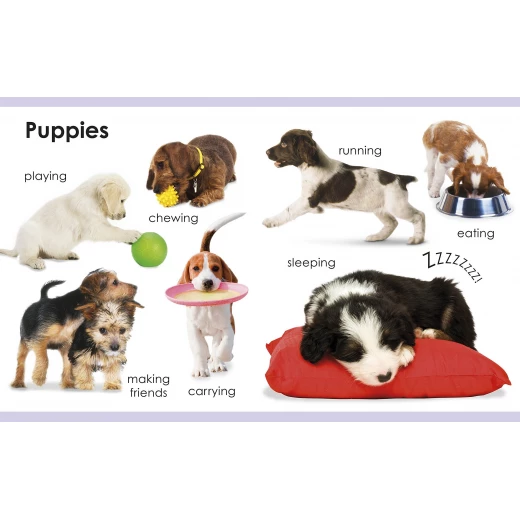 My First Pets Board book - كتب دي كاي - Image 3