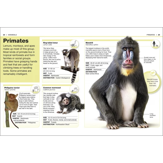 Pocket Eyewitness Animals - كتب دي كاي - Image 4