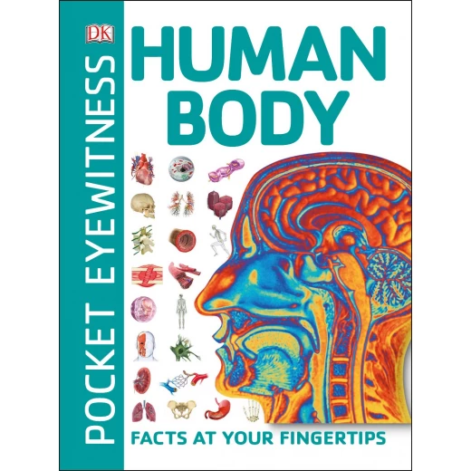 Pocket Eyewitness Human Body: Facts at Your Fingertips Paperback Pocket Eyewitness Human Body: Facts at Your Fingertips Paperback