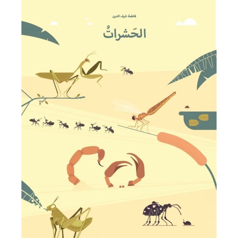 الحشرات غلاف كرتوني 36 صفحة - كلمات