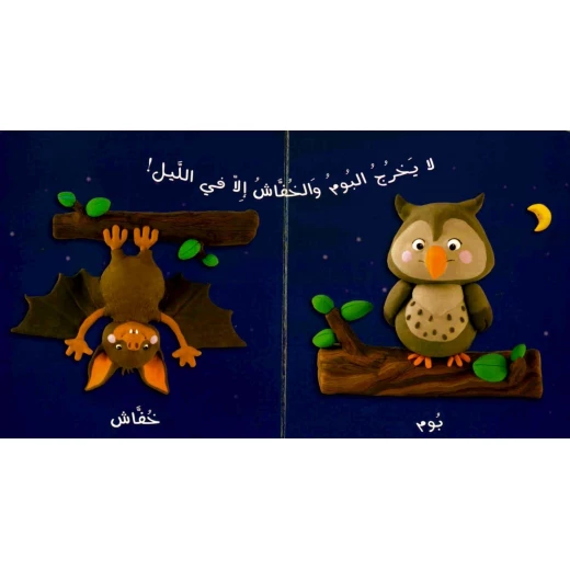 دار المجاني الأميرة المثالية:  العلم :مصور الاطفال : الغابة, 16 صفحه - دار المجاني - Image 2