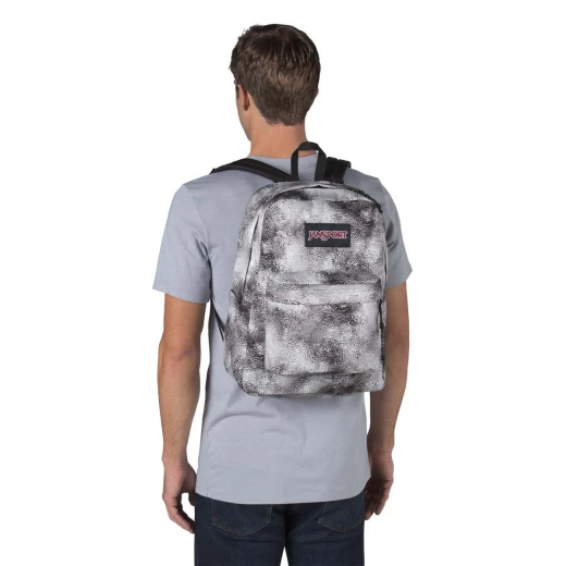 JanSport Plus Backpack, Lunar Scape - جان سبورت - Image 2
