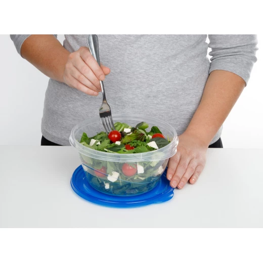 Sistema 760ml Small Bowl 4 Pack Takealongs - سيستما - Image 2