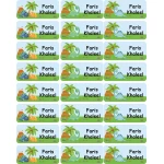 Tob3a Book Labels, Dinosaurs - طبعة