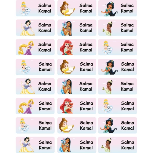 Tob3a Book Labels, Disney Princesses Tob3a Book Labels, Disney Princesses