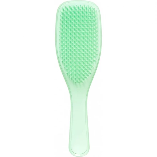 Tangle Teezer Mini Wet Detangler - Mint /Mint