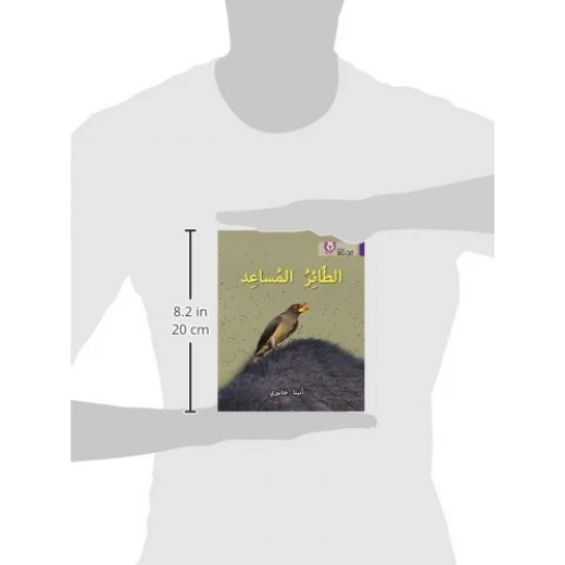 الطائر المساعد - كولنز - كولينز بيج كات - Image 3