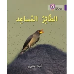 الطائر المساعد - كولنز - كولينز بيج كات
