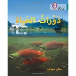 دورات الحياة - كولنز - كولينز بيج كات